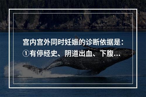 宫内宫外同时妊娠的诊断依据是：①有停经史、阴道出血、下腹痛病