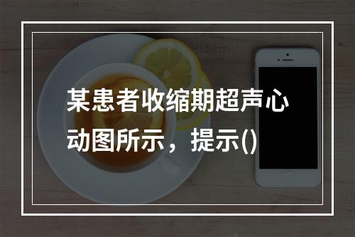 某患者收缩期超声心动图所示，提示()