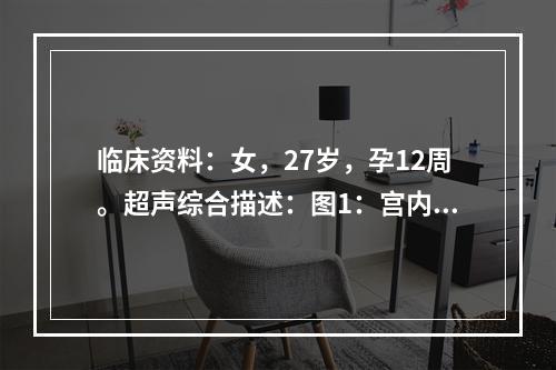 临床资料：女，27岁，孕12周。超声综合描述：图1：宫内可见