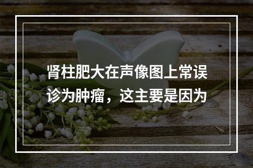 肾柱肥大在声像图上常误诊为肿瘤，这主要是因为