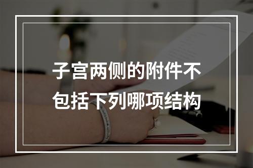 子宫两侧的附件不包括下列哪项结构