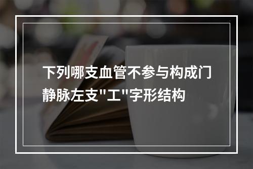 下列哪支血管不参与构成门静脉左支