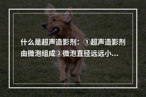 什么是超声造影剂：①超声造影剂由微泡组成②微泡直径远远小于人