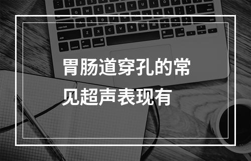 胃肠道穿孔的常见超声表现有