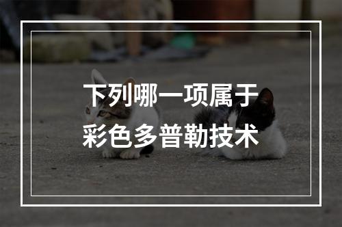 下列哪一项属于彩色多普勒技术