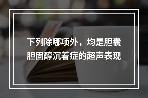 下列除哪项外，均是胆囊胆固醇沉着症的超声表现