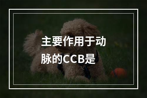 主要作用于动脉的CCB是