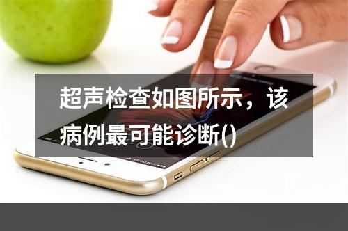 超声检查如图所示，该病例最可能诊断()