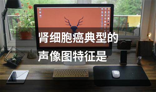 肾细胞癌典型的声像图特征是