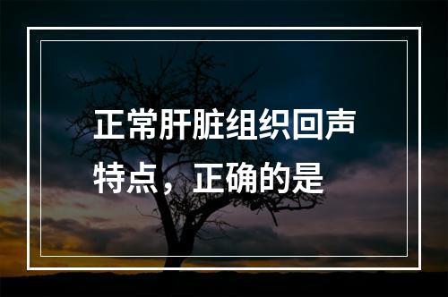 正常肝脏组织回声特点，正确的是