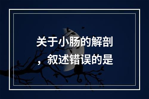 关于小肠的解剖，叙述错误的是