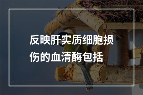 反映肝实质细胞损伤的血清酶包括