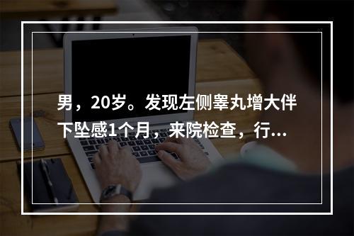 男，20岁。发现左侧睾丸增大伴下坠感1个月，来院检查，行手术