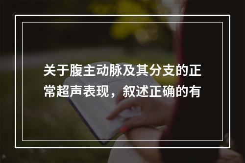 关于腹主动脉及其分支的正常超声表现，叙述正确的有