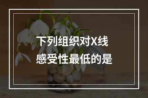 下列组织对X线感受性最低的是