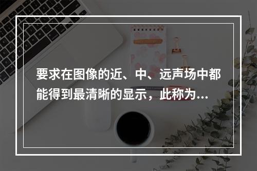 要求在图像的近、中、远声场中都能得到最清晰的显示，此称为()