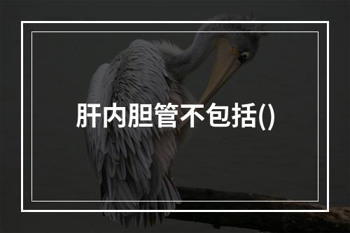 肝内胆管不包括()