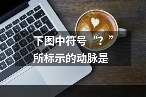 下图中符号“？”所标示的动脉是