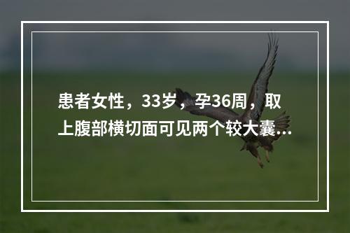 患者女性，33岁，孕36周，取上腹部横切面可见两个较大囊泡，