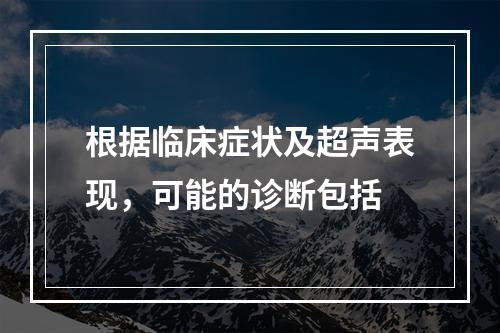 根据临床症状及超声表现，可能的诊断包括