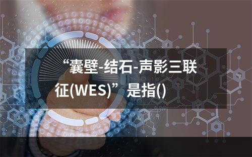 “囊壁-结石-声影三联征(WES)”是指()