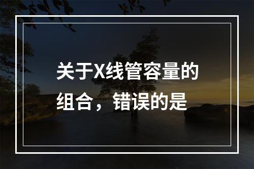 关于X线管容量的组合，错误的是