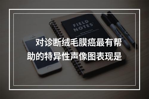 　对诊断绒毛膜癌最有帮助的特异性声像图表现是