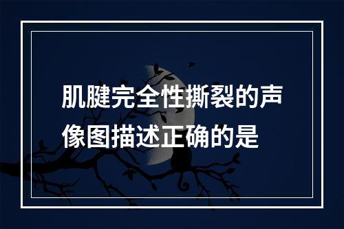 肌腱完全性撕裂的声像图描述正确的是