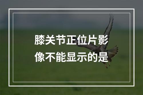 膝关节正位片影像不能显示的是