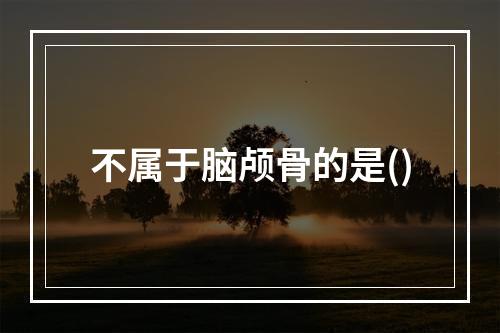 不属于脑颅骨的是()