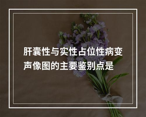 肝囊性与实性占位性病变声像图的主要鉴别点是