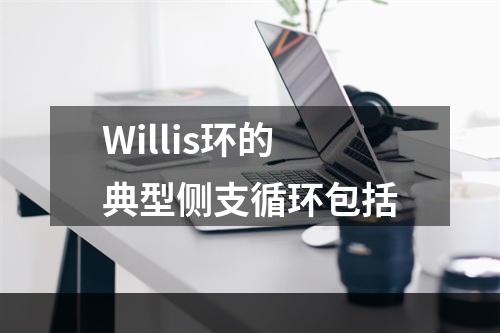 Willis环的典型侧支循环包括