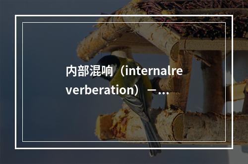 内部混响（internalreverberation）－彗星