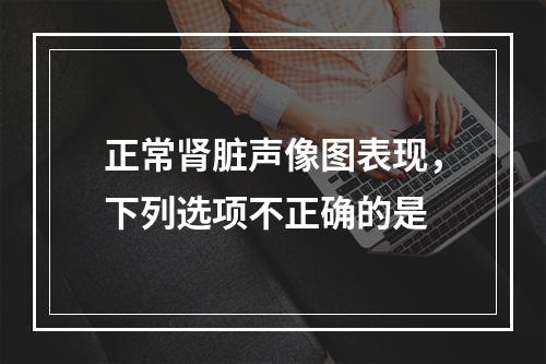 正常肾脏声像图表现，下列选项不正确的是