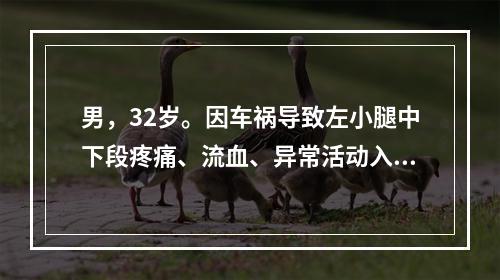 男，32岁。因车祸导致左小腿中下段疼痛、流血、异常活动入院。