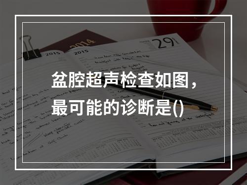 盆腔超声检查如图，最可能的诊断是()