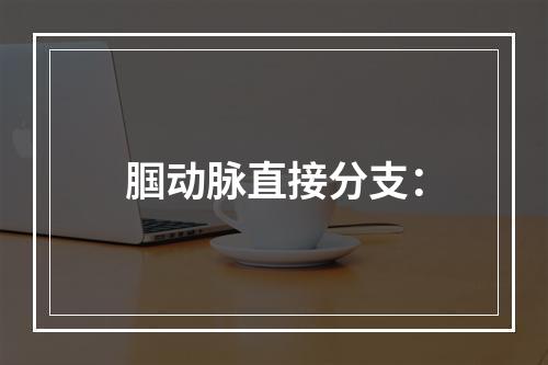 腘动脉直接分支：