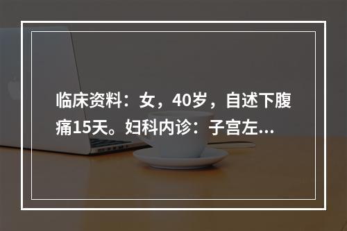 临床资料：女，40岁，自述下腹痛15天。妇科内诊：子宫左上方