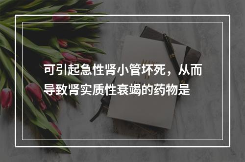 可引起急性肾小管坏死，从而导致肾实质性衰竭的药物是