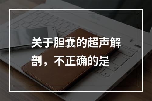 关于胆囊的超声解剖，不正确的是