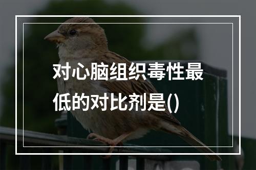 对心脑组织毒性最低的对比剂是()