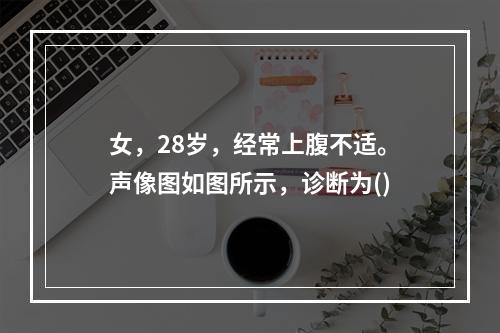 女，28岁，经常上腹不适。声像图如图所示，诊断为()