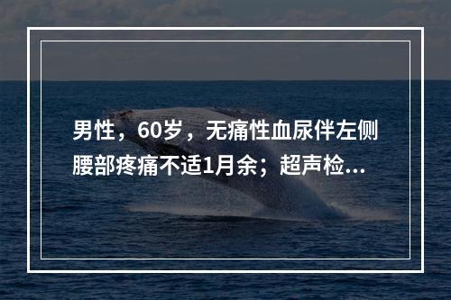 男性，60岁，无痛性血尿伴左侧腰部疼痛不适1月余；超声检查左