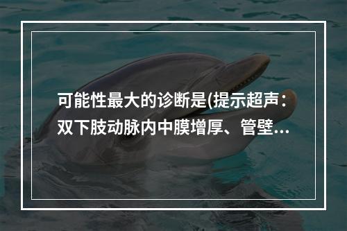 可能性最大的诊断是(提示超声：双下肢动脉内中膜增厚、管壁钙化