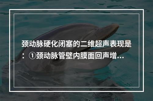 颈动脉硬化闭塞的二维超声表现是：①颈动脉管壁内膜面回声增强变