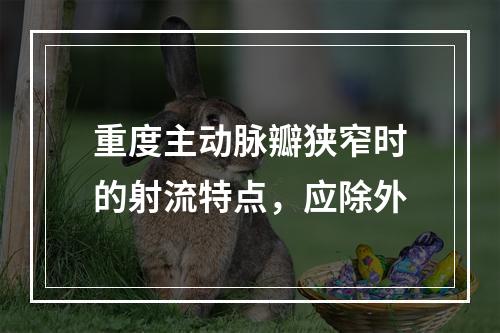 重度主动脉瓣狭窄时的射流特点，应除外