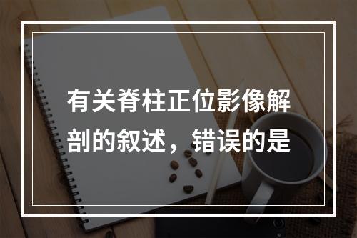 有关脊柱正位影像解剖的叙述，错误的是