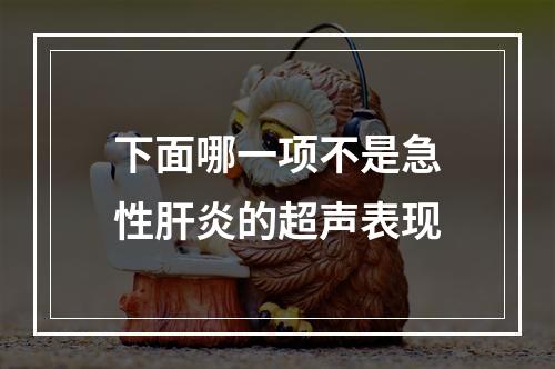 下面哪一项不是急性肝炎的超声表现