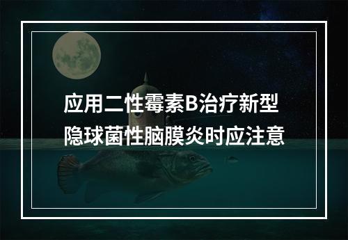 应用二性霉素B治疗新型隐球菌性脑膜炎时应注意