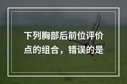 下列胸部后前位评价点的组合，错误的是